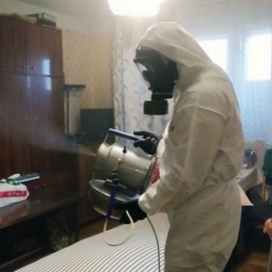 Дезинфекция от клопов в Великом Устюге