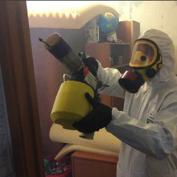 Уничтожение клопов в квартире. Великий Устюг